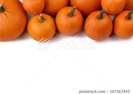 Autumn frame of pumpkins on white Autumn frame of pumpkins on white 107367845