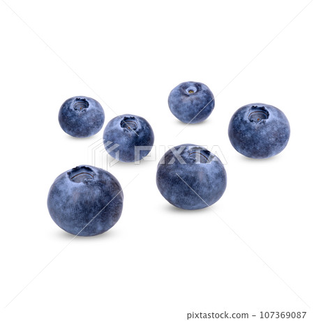 Fresh blueberry isolated on white background Fresh blueberry isolated on white background 107369087