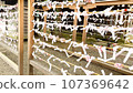 Omikuji tied in the precincts of Yasukuni Shrine 107369642