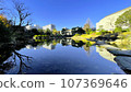 A mirror-like view reflected on the water surface 107369646