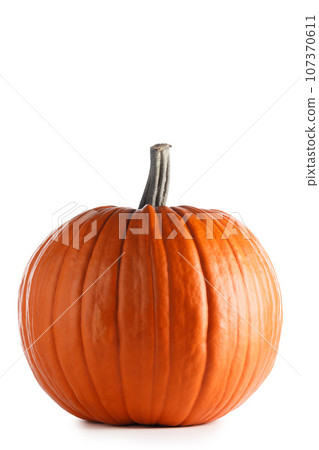 Fresh orange pumpkin on white 107370611