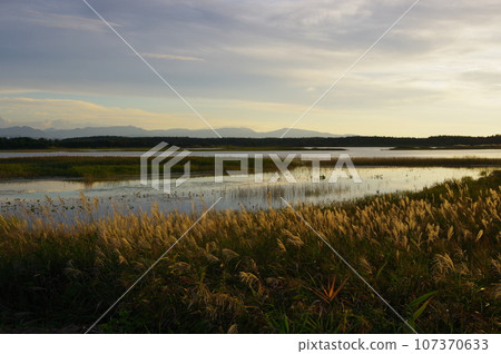 青森縣津輕市本生濕地風景 青森縣津輕市本生濕地風景 107370633