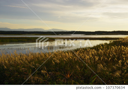 Scenery of Bense Wetland, Tsugaru City, Aomori Prefecture Scenery of Bense Wetland, Tsugaru City, Aomori Prefecture 107370634
