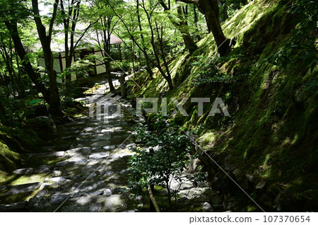 Niomon gate and stairs of Jojakkoji Temple (Arashiyama, Kyoto Prefecture) Niomon gate and stairs of Jojakkoji Temple (Arashiyama, Kyoto Prefecture) 107370654