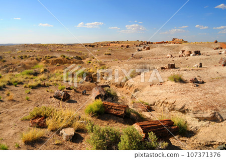 Rugged and Desolate Landscape Petrified Forest Arizona 107371376