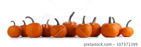 Pumpkins in a row isolated on white 107371399