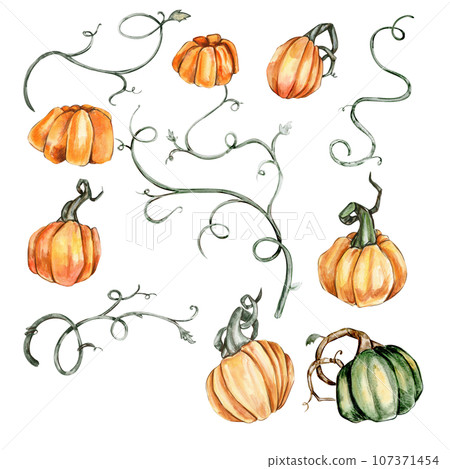 Watercolor hand drawn autumn pumpkins - Stock Illustration [107371454 ...