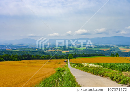 [北海道]修實之丘 初夏的山景與廣闊的麥田 107371572