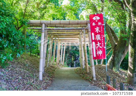 京都會伏見區伏見稻荷大社末廣大神 107371589