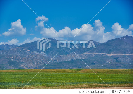 Suusamyr Valley Suusamyr Valley 107371709