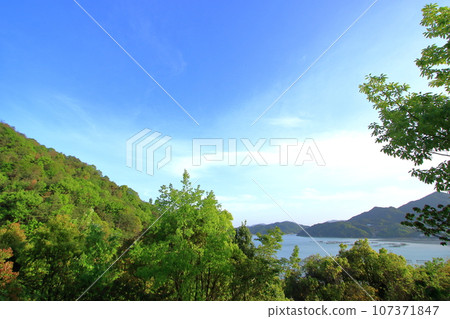 Spring scenery of Setouchi with fresh greenery 107371847