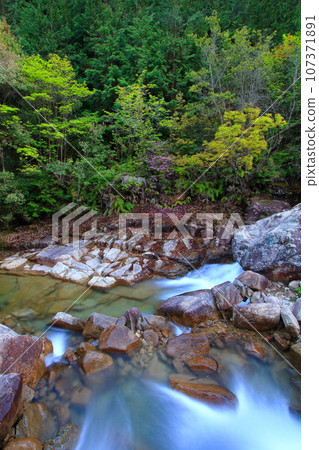 春天的諾羅河,綠意盎然,水流潺潺 春天的諾羅河,綠意盎然,水流潺潺 107371891