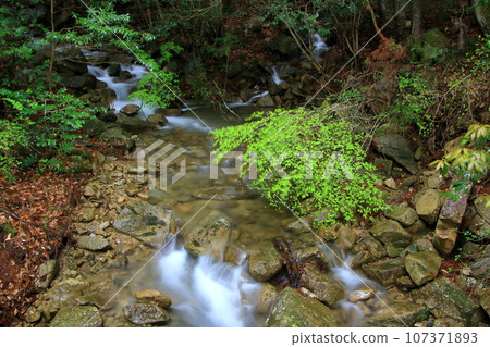 春天的諾羅河，綠意盎然，水流潺潺 107371893