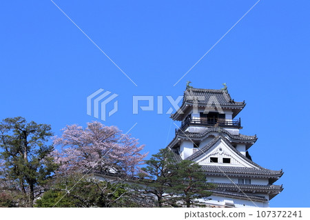 高知城春天蘭滿(高知縣高知市) 高知城春天蘭滿(高知縣高知市) 107372241