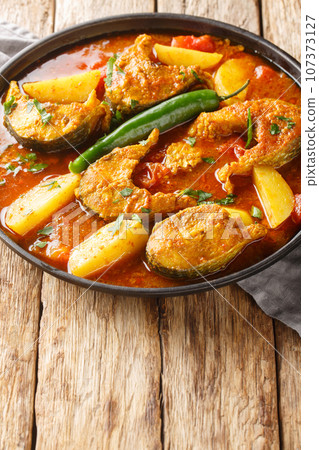 Indian cuisine Bengali Fish Curry Macher Jhol closeup on the plate. Vertical Indian cuisine Bengali Fish Curry Macher Jhol closeup on the plate. Vertical 107373127