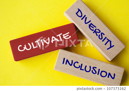 Top view of wooden blocks with text - Diversity, inclusion and equity. Diversity concept Top view of wooden blocks with text - Diversity, inclusion and equity. Diversity concept 107373162
