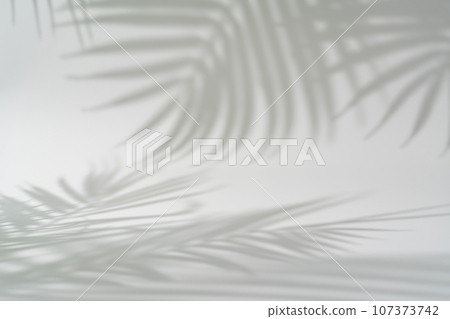 Shadow of tropical leaves 107373742