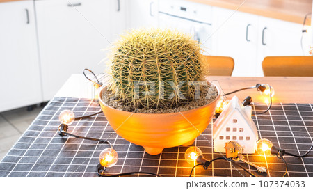 Large cactus echinocactus gruzoni in interior of the home in kitchen, illuminated by garland lamps and miniature of house project with keys. Potted plant in green house, real estate rental, insurance Large cactus echinocactus gruzoni in interior of the home in kitchen, illuminated by garland lamps and miniature of house project with keys. Potted plant in green house, real estate rental, insurance 107374033