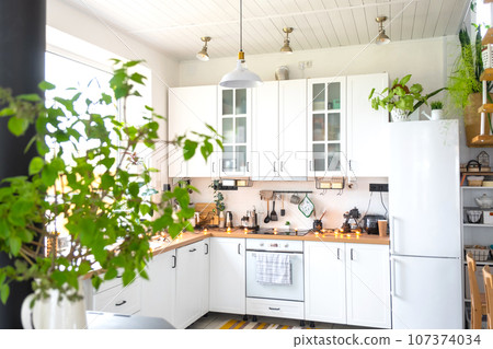 Light white modern rustic kitchen decorated with potted plants, loft-style kitchen utensils. Interior of a house with homeplants 107374034