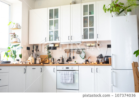 Light white modern rustic kitchen decorated with potted plants, loft-style kitchen utensils. Interior of a house with homeplants Light white modern rustic kitchen decorated with potted plants, loft-style kitchen utensils. Interior of a house with homeplants 107374036