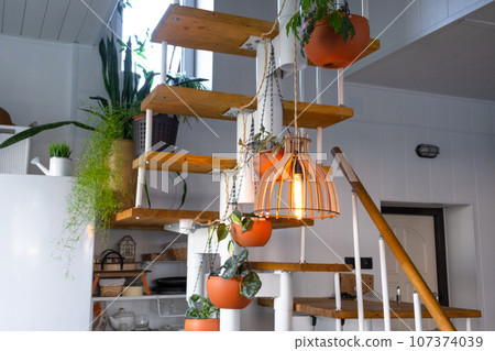 Modular metal staircase with wooden steps in the white interior of a green house with potted plants, hanging flowerpot, lampshade Modular metal staircase with wooden steps in the white interior of a green house with potted plants, hanging flowerpot, lampshade 107374039