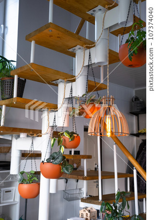 Modular metal staircase with wooden steps in the white interior of a green house with potted plants, hanging flowerpot, lampshade 107374040