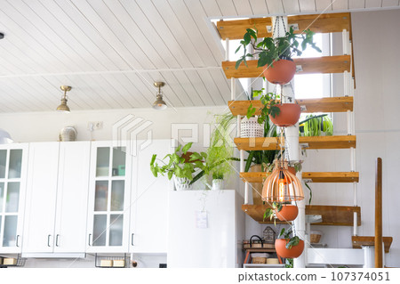 Modular metal staircase with wooden steps in the white interior of a green house with potted plants, hanging flowerpot, lampshade 107374051