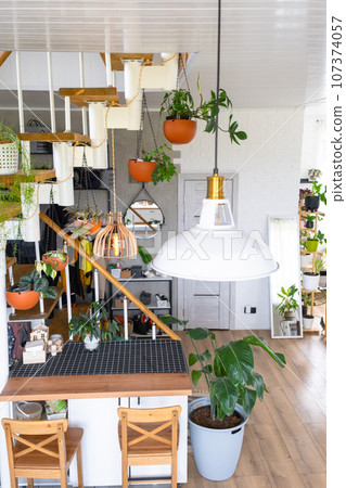 Modular metal staircase with wooden steps in the white interior of a green house with potted plants, hanging flowerpot, lampshade Modular metal staircase with wooden steps in the white interior of a green house with potted plants, hanging flowerpot, lampshade 107374057
