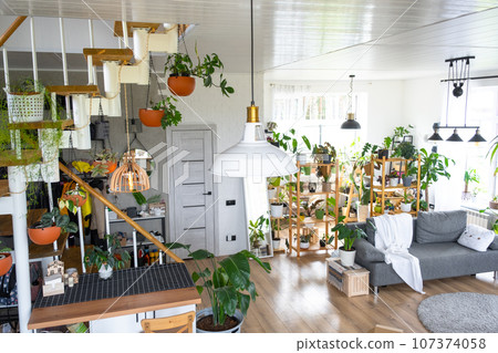 Modular metal staircase with wooden steps in the white interior of a green house with potted plants, hanging flowerpot, lampshade 107374058