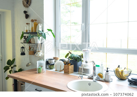 Light white modern rustic kitchen decorated with potted plants, loft-style kitchen utensils. Interior of a house with homeplants 107374062