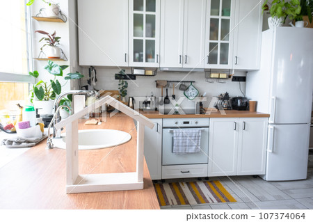 Light white modern rustic kitchen decorated with potted plants, loft-style kitchen utensils. Interior of a house with homeplants 107374064
