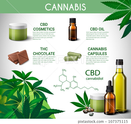 Medical Marijuana Infographics-插圖素材 [107375115] - PIXTA圖庫