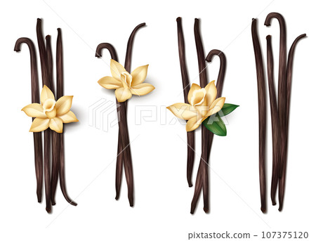 Realistic Vanilla Set Realistic Vanilla Set 107375120