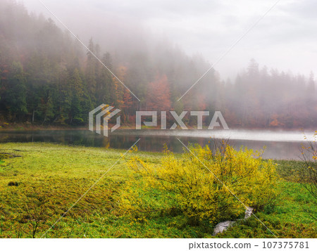 lake on a foggy morning in fall season. forest on the shore in fog. mysterious outdoor nature background 107375781
