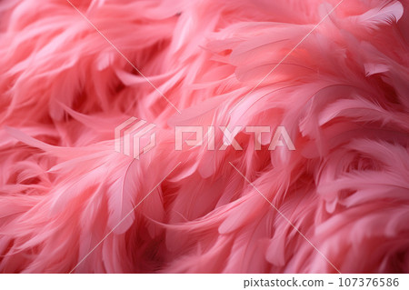 Background of pink flamingo feathers 107376586