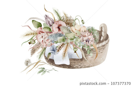 Watercolor illustration of dried autumn flowers lying in a wicker basket, in warm autumn colors on a white background. 107377370