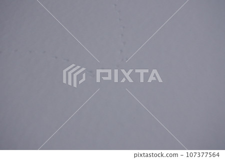 footprints in the snow 107377564