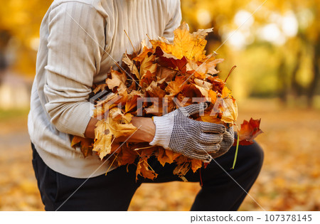 Man cleans autumn park from yellow leaves. Volunteering, cleaning concept. Seasonal gardening. 107378145