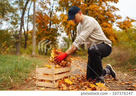 Man cleans autumn park from yellow leaves. Volunteering, cleaning concept. Seasonal gardening. Man cleans autumn park from yellow leaves. Volunteering, cleaning concept. Seasonal gardening. 107378147