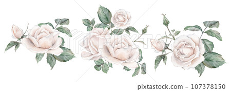 Set elements of white rose, collection garden flowers, leaves. Clipart watercolor hand painting illustration on isolate white background. For bouquets, wreaths, wedding invitations, anniversary Set elements of white rose, collection garden flowers, leaves. Clipart watercolor hand painting illustration on isolate white background. For bouquets, wreaths, wedding invitations, anniversary 107378150