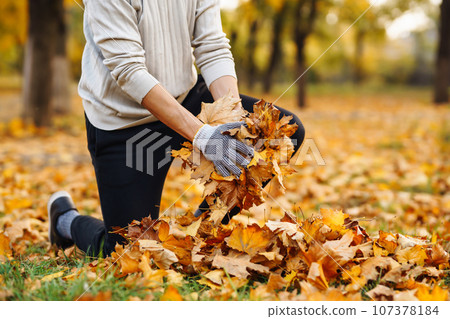 Man cleans autumn park from yellow leaves. Volunteering, cleaning concept. Seasonal gardening. Man cleans autumn park from yellow leaves. Volunteering, cleaning concept. Seasonal gardening. 107378184