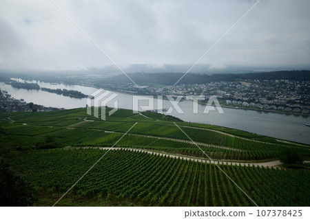 萊茵河和葡萄酒田 萊茵河和葡萄酒田 107378425