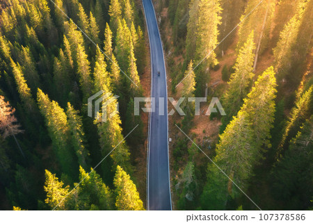 Aerial view of road in colorful autumn forest at sunrise 107378586