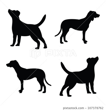 Silhouette dog vector collection . 107378762
