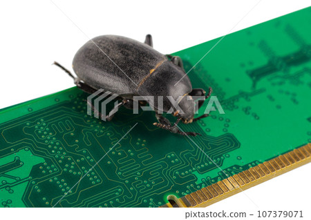 Bug on PC memory circuit board. Computer error concept. Bug on PC memory circuit board. Computer error concept. 107379071