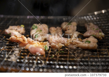Char-grilled chicken Char-grilled chicken 107379730
