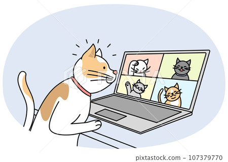 Cat talk on video call with pets 107379770
