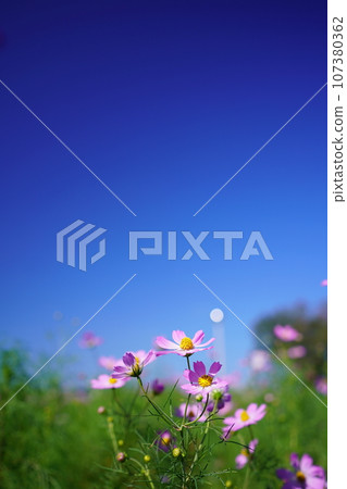 宇宙5226 107380362