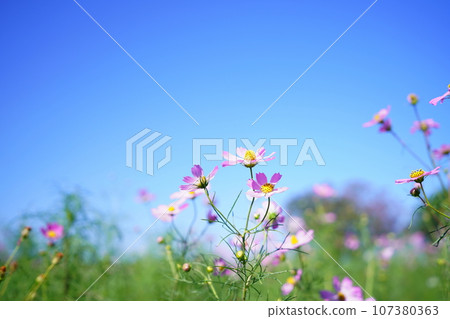 宇宙5227 107380363