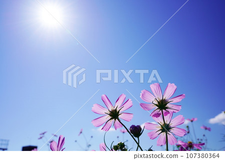 宇宙5229 宇宙5229 107380364